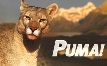 Пума! /Puma!