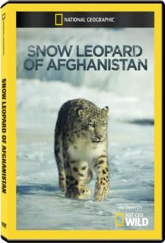 Снежный барс Афганистана / Snow Leopard of Afghanistan
