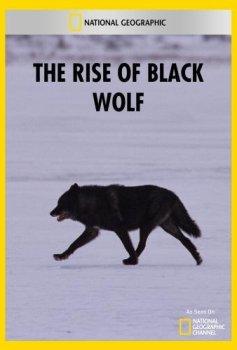 Восхождение черного волка / The Rise of Black Wolf