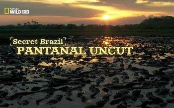 Неизвестная Бразилия. Пантанал / Secret Brazil. Pantanal