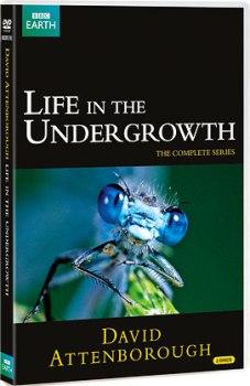 BBC: Жизнь в микромире / BBC: Life in the Undergrowth