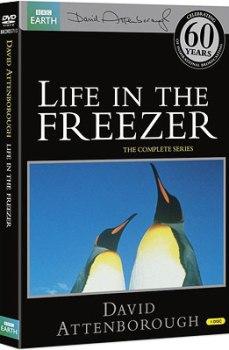 Жизнь в морозильнике / Life in the Freezer