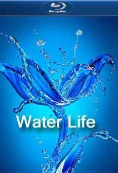 Водная жизнь / Water Life