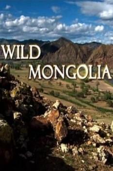 Дикая Монголия / Wild Mongolia 