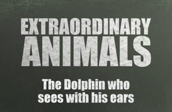 Необыкновенные животные: Дельфин, который видит ушами / Extraordinary Animals: The Dolphin Who Can See With His Ears