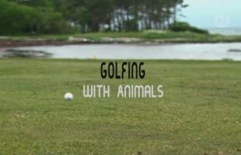 Поле для гольфа и его обитатели / Golfing With Animals