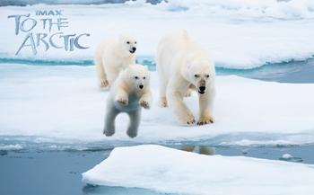 Арктика / To the Arctic