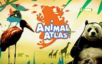 Атлас животного мира / Animal Atlas