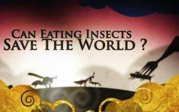 Съешь жука - спаси мир / Can Eating Insects save the World?