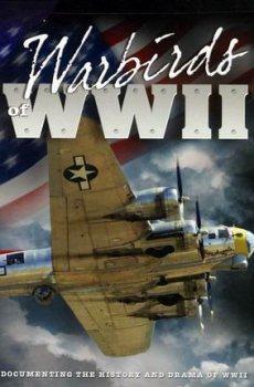 Боевые птицы Второй Мировой / Warbirds Of World War II