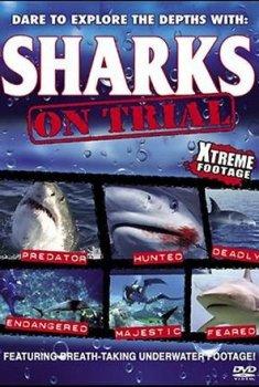 Акулы перед судом / Sharks on Trial