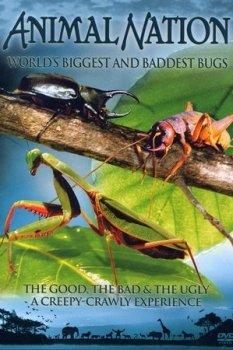 Cамыe крупныe и опасныe насекомыe / Animal Planet: The World's Biggest and Baddest Bugs