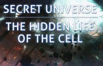Тайная Вселенная. Путешествие внутрь клетки / Secret Universe: The Hidden Life of the Cell