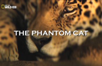 Неуловимая кошка / The Phantom Cat
