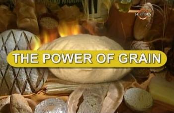 Сила хлеба (Могущество зерна) / The Power of Grain: History of Survival Food