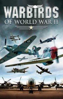 Железные птицы Второй Мировой войны (10 серий из 10) / War Birds Of World War II 