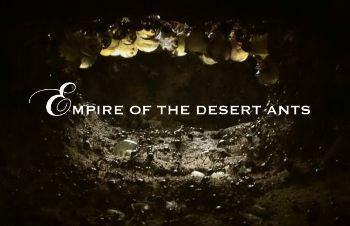 Муравьиная империя / Empire of the Desert Ants