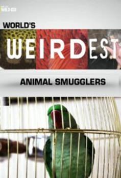Название: Самые странные в мире питомцы: Контрабанда животных / World's Weirdest: Animal Smugglers Жанр: Документальный