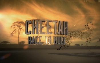 Гепард - борьба за признание / Cheetah - Race to Rule