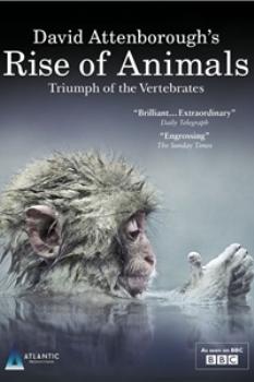BBC: История животного мира с Дэвидом Аттенборо / Rise of Animals: Triumph of the Vertebrates
