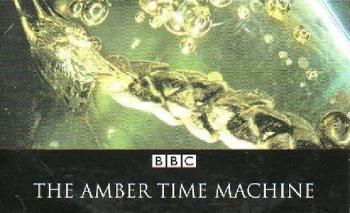 Машина времени в кусочке янтаря / The Amber Time Machine