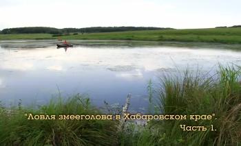 Ловля змееголова в Хабаровском крае