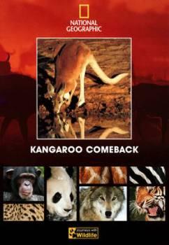 Возвращение кенгуру Kangaroo comeback