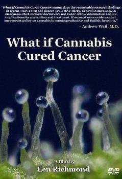 Что если марихуана лечила бы рак / What if cannabis cured cancer 