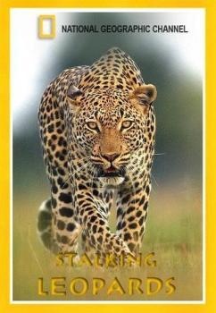 National Geographic: Королева леопардов / National Geographic: Leopard Queen