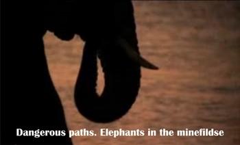 Опасные тропы. Слоны на минных полях / Dangerous paths. Elephants in the minefields