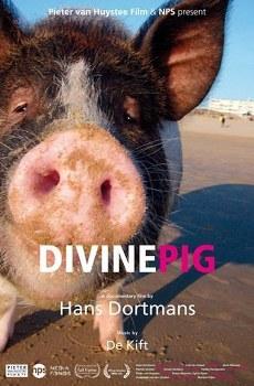 Священная свинья / Divine pig