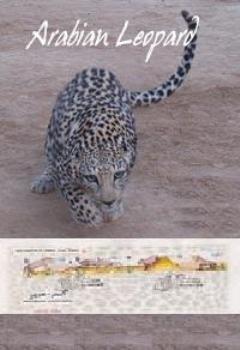 Арабский леопард Омана / The Arabian Leopard of Oman