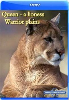 Королева - львица. Воительница равнин / Queen - a lioness. Warrior plains