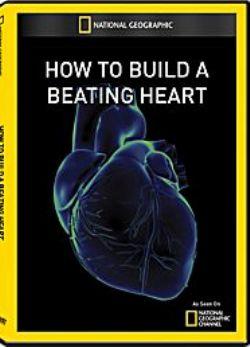 Как создать работающее сердце / How To Build A Beating Heart
