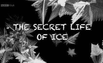 Тайная жизнь льда / Secret life of ice