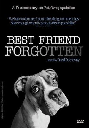 Забытый лучший друг