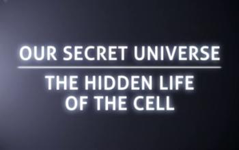 Внутренняя Вселенная: Тайная жизнь клетки / Secret Universe: The Hidden Life of the Cell