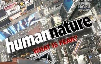 Природа человека (4 из 4) / Human Nature