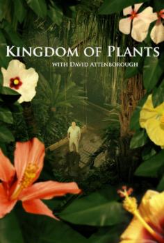 Царство растений / Kingdom of Plants 