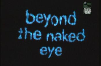 То, что не видно вооруженным глазом / Animal Planet. Beyond the Naked Eye