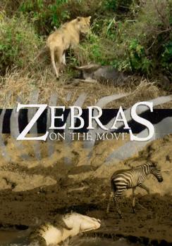 Зебры путешествуют / Великий поход зебр / Zebras on the Move