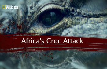 Атака нильского крокодила / Africa's Croc Attack