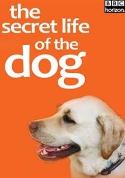 Тайная жизнь собак / The Secret Life of the Dog