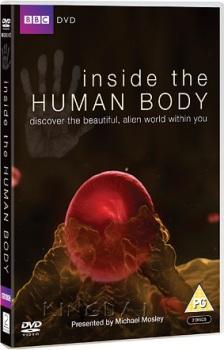 Внутри человеческого тела