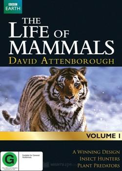 BBC: Жизнь млекопитающих
